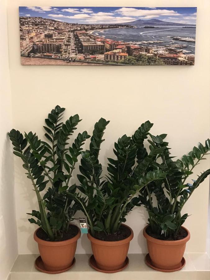Costa Apartment Naples Extérieur photo